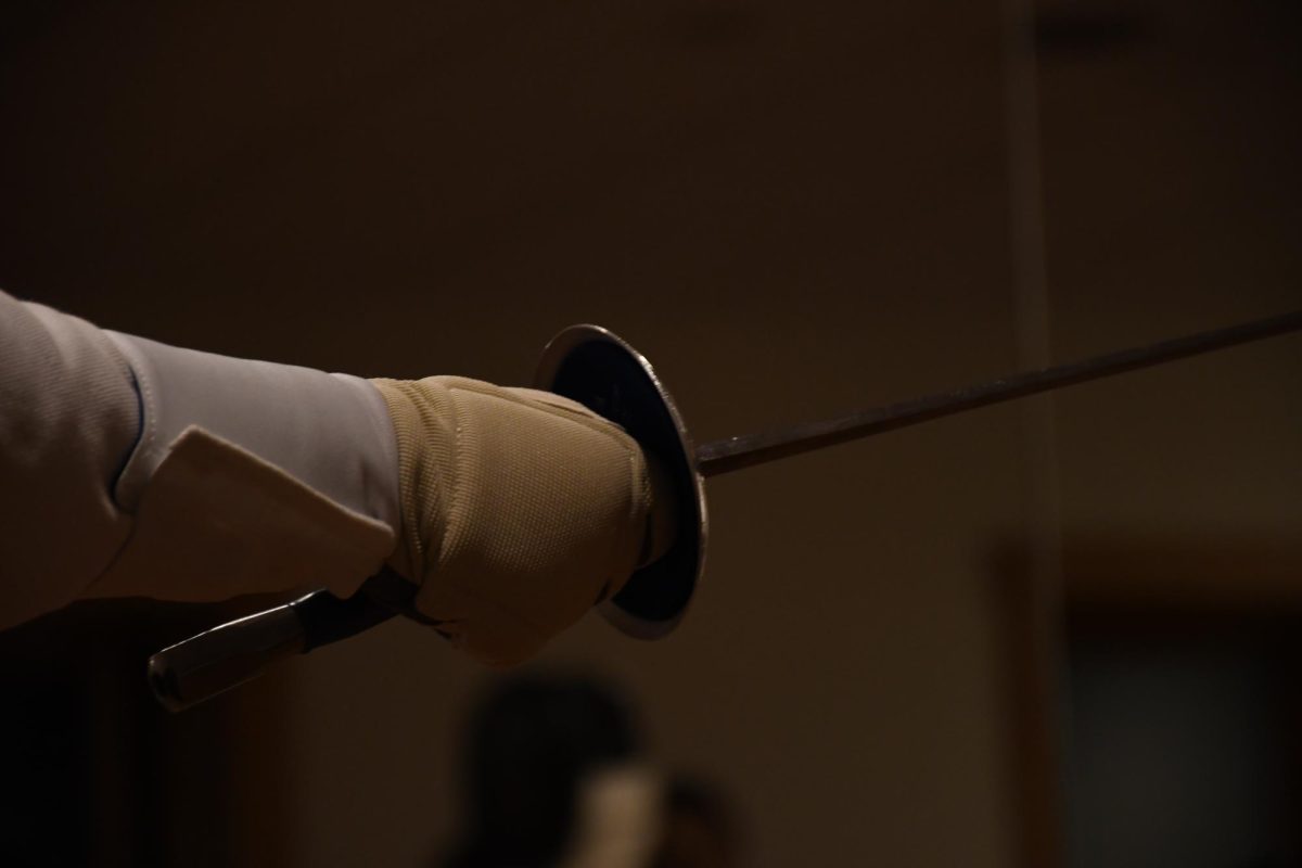 Fencing - Ariana Carrasco 3