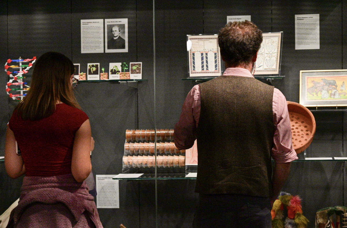 Mr. Findley and his student examine artifacts at the Matson Museum.