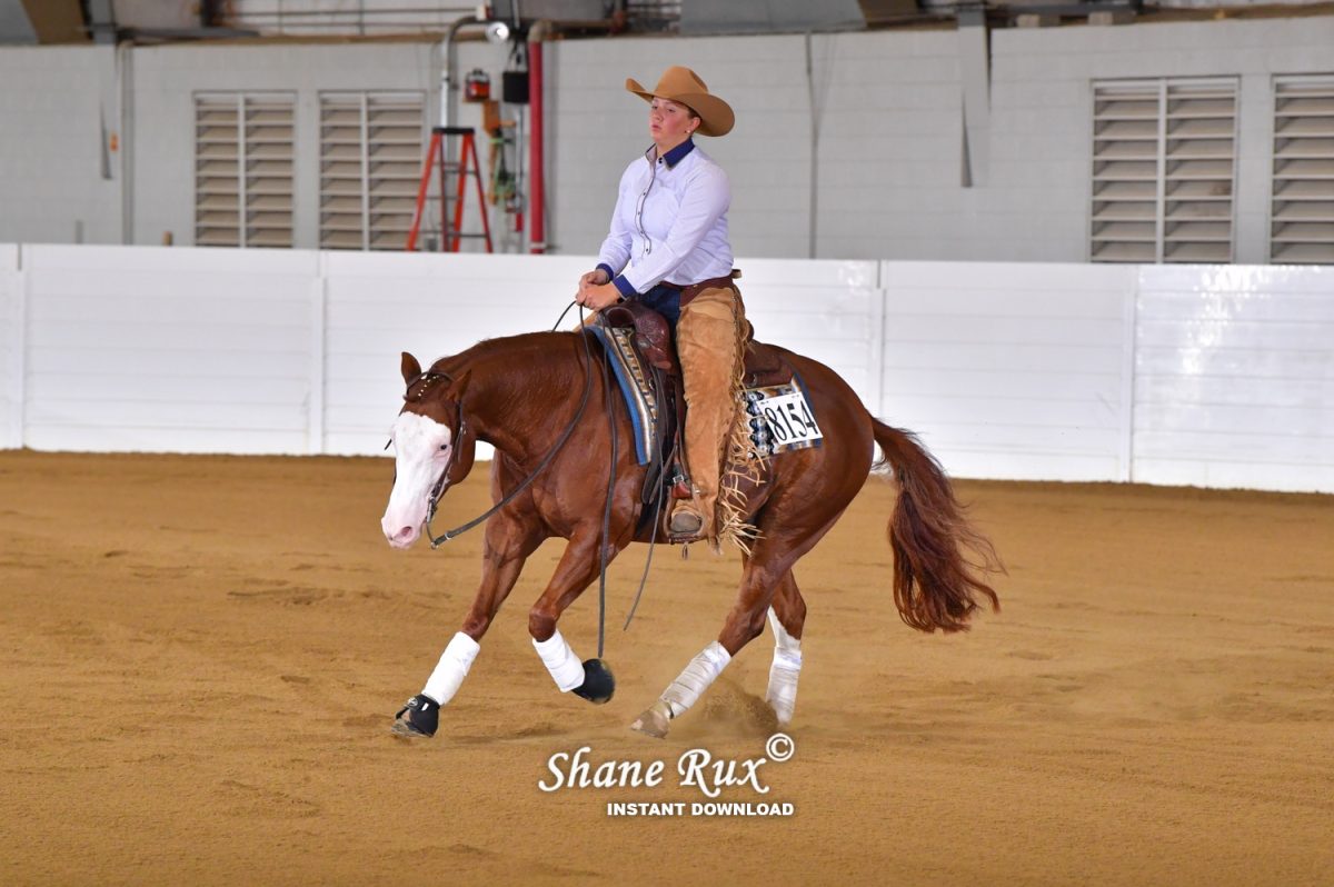 Logan Faison and her horse Undeniiable at Quarter Horse Congress!