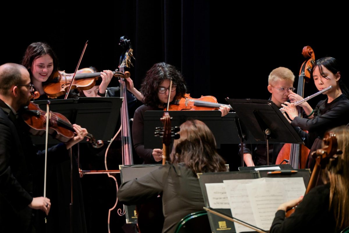 Our Orchestra at the Spring concert this weekend!
